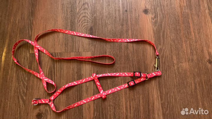 Поводок и шлейка для собаки