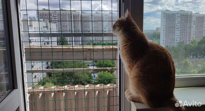 Балкончик для кошки. Выгул