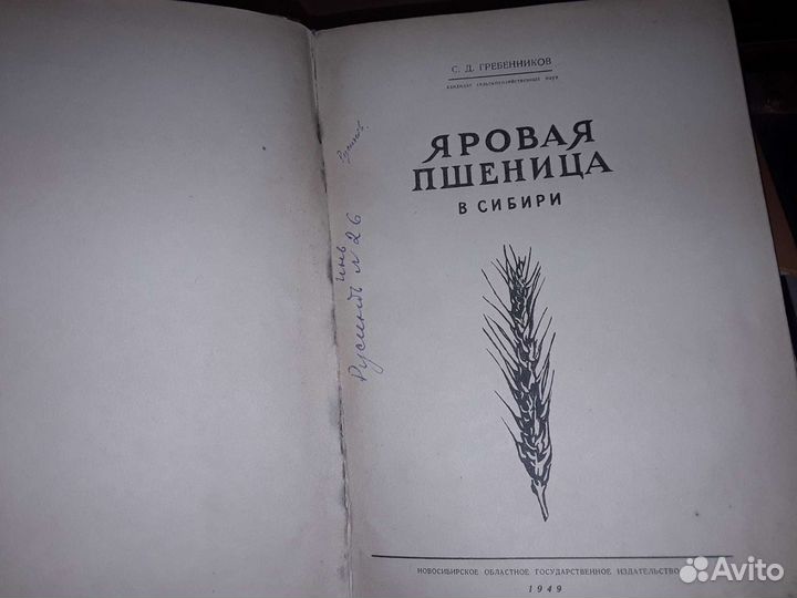 Гребенников С. Яровая пшеница в Сибири. 1949 г