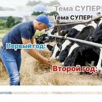 Животноводческое агентство в городе, Тбилиси