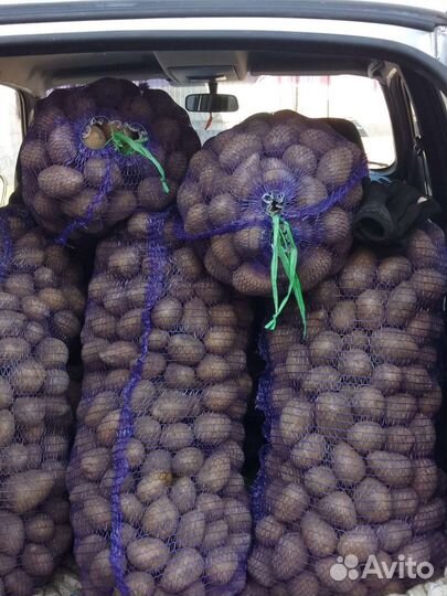 Продам картофель