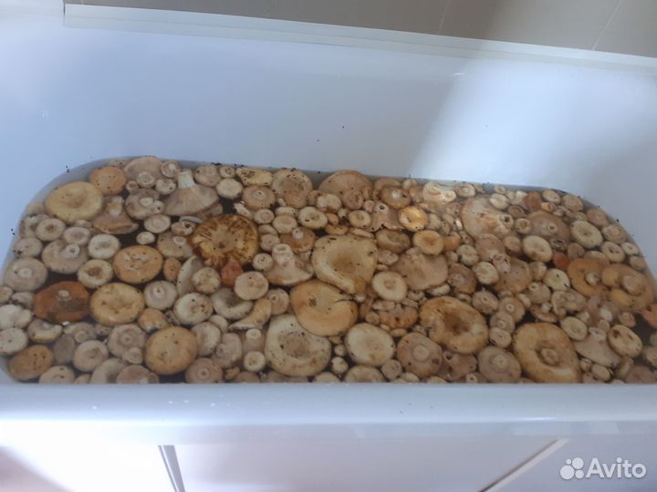 Продукты питания