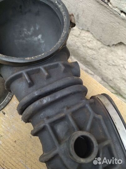 На ауди 100, черепаха