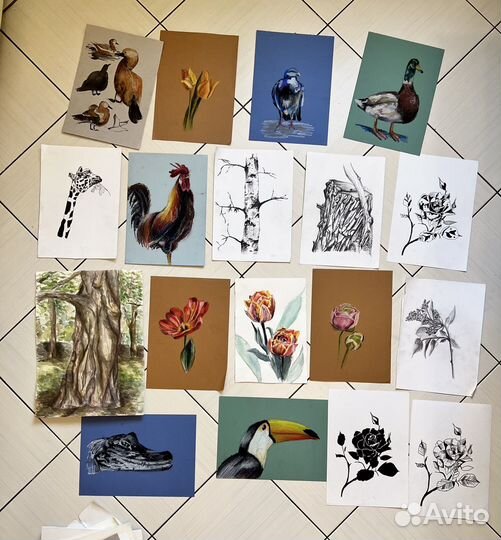 Работы по рисунку, живописи, наброски, пленер