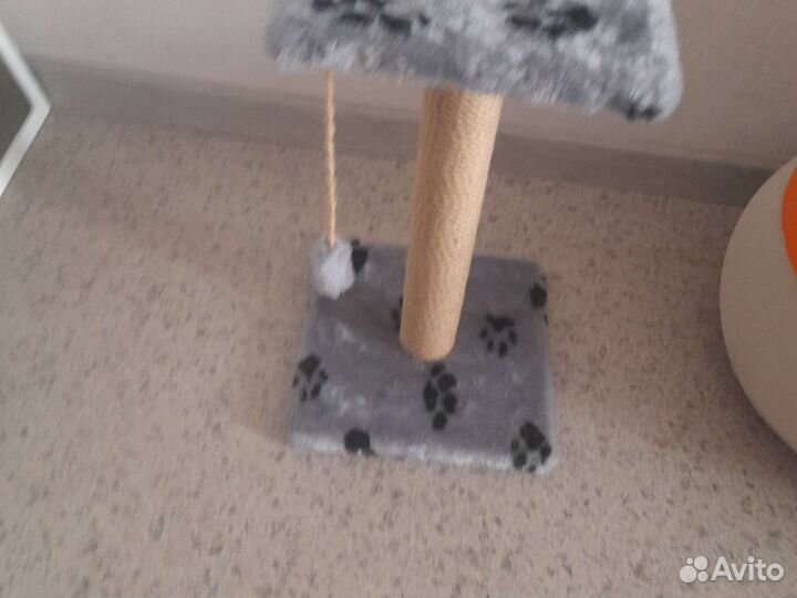 Когтеточка