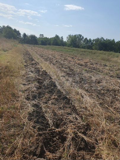 Участок 20 сот. (СНТ, ДНП)