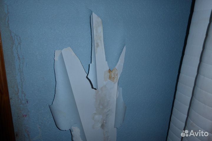 Оценка ущерба залива квартиры