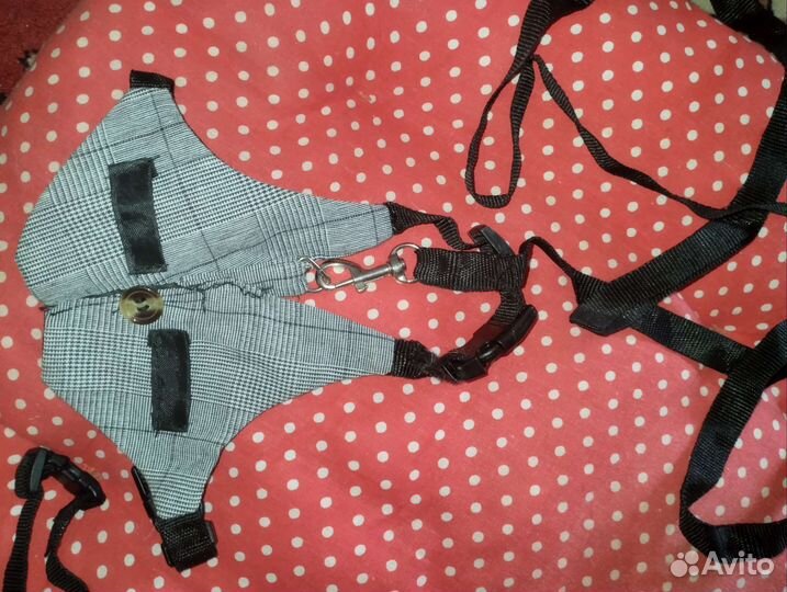 Одежда для собак и кошек