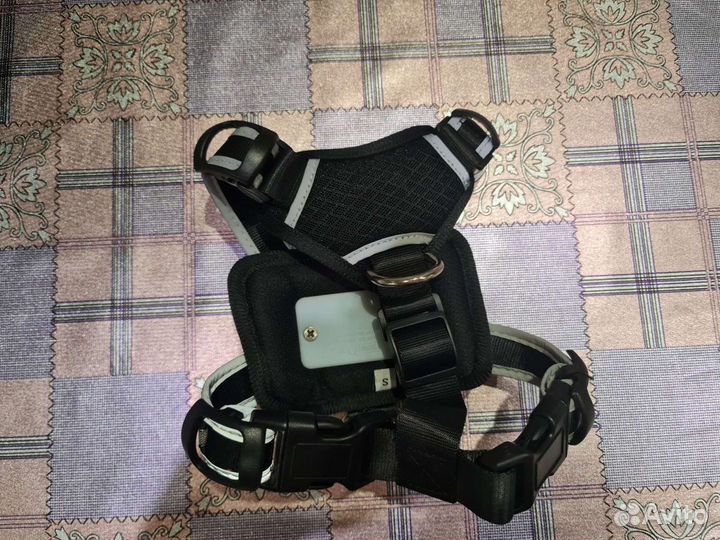 Шлейка для маленькой собаки