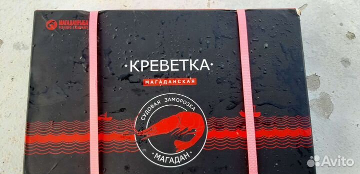 Креветка Магаданская
