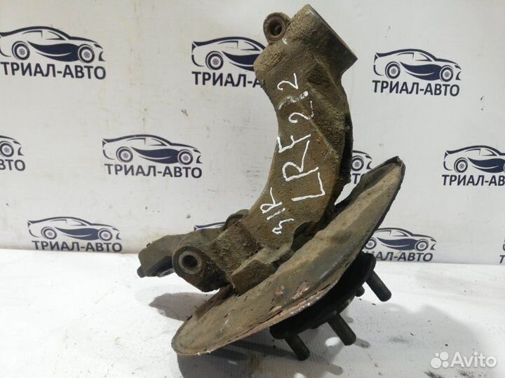 Freelander Цапфа