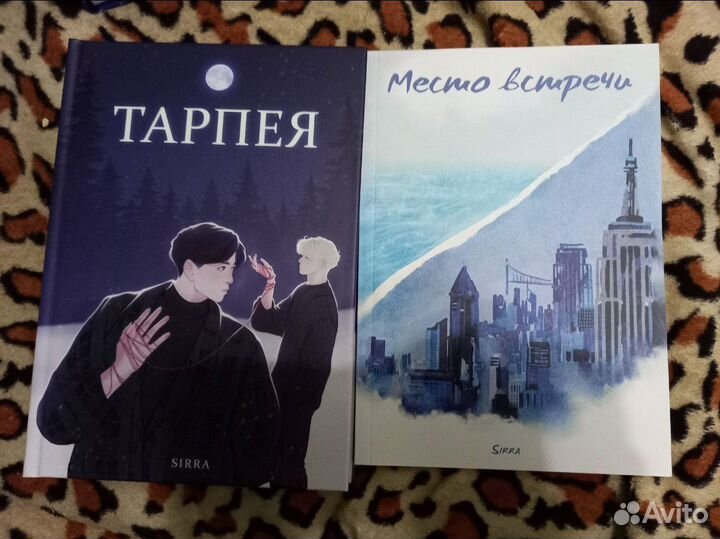 Фанфик книги