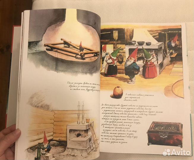 Книга детская Тайны гномов. Вил Хейген