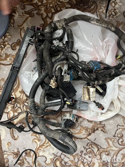 Центральная проводка Chevrolet cruze хэтчбек