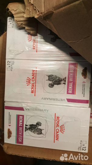 Royal canin renal для кошек