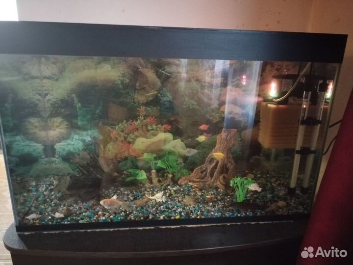 Аквариум