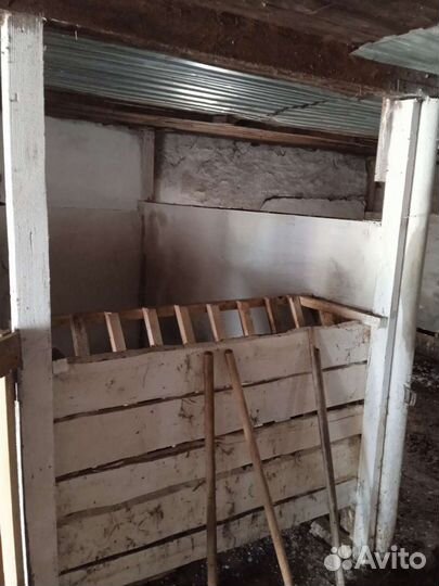 Постой лошадей