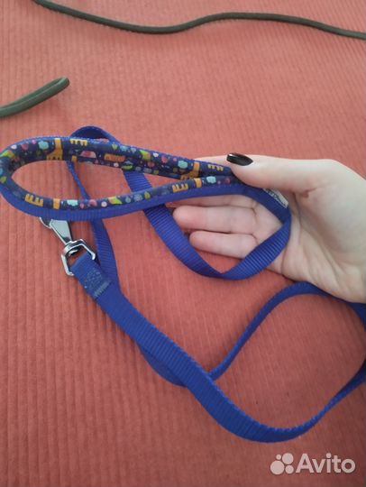 Товары для собак