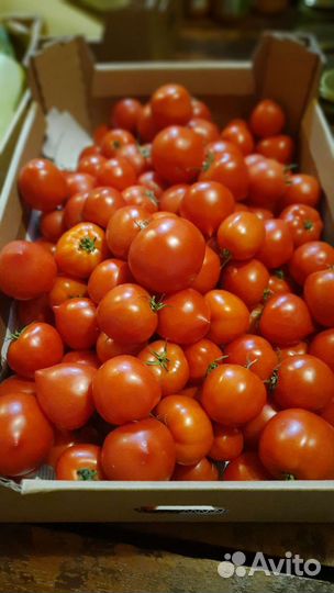 Помидоры свежие домашние