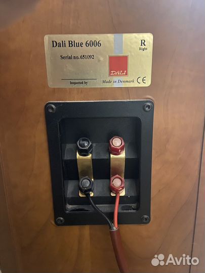 Dali blue 6006