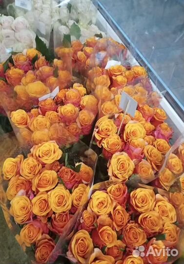 Букет из роз