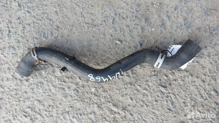 Патрубок радиатора на форд фокус 3