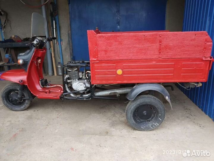 Продаю муравей 2м