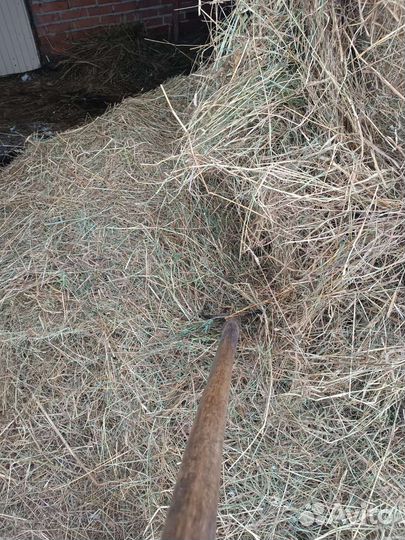 Продам сено в рулонах