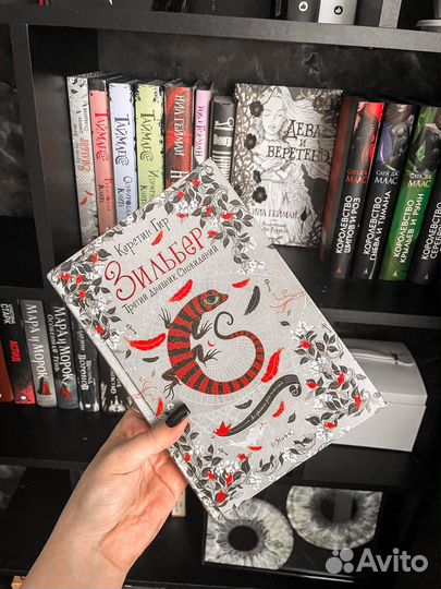 Книга Зильбер