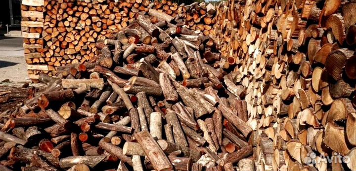 Дрова осина