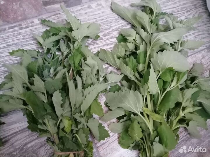 Букет для чая-6 трав;Мята,Мелисса,Зверобой - пучки