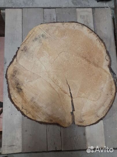 Торцевой спил