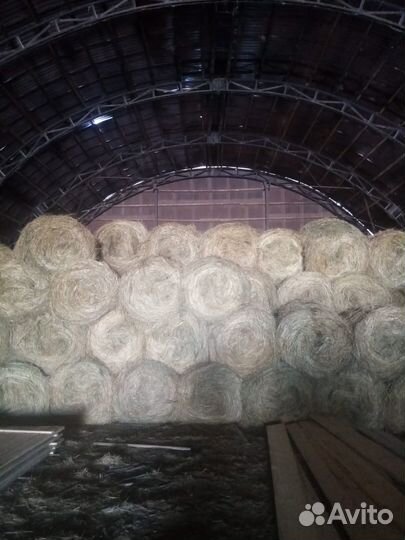 Продаю сено