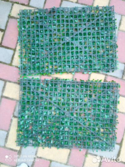 Искусственный самшит