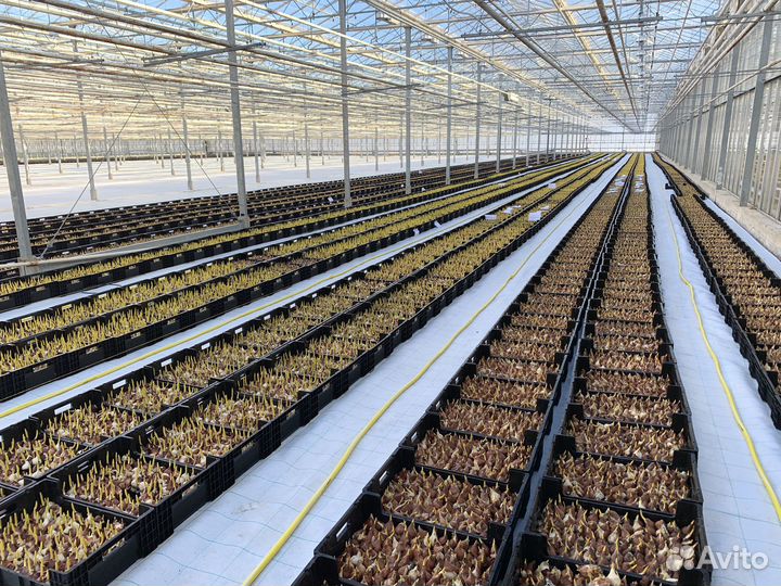 Полимерное покрытие пола бетонная стяжка с топпингом