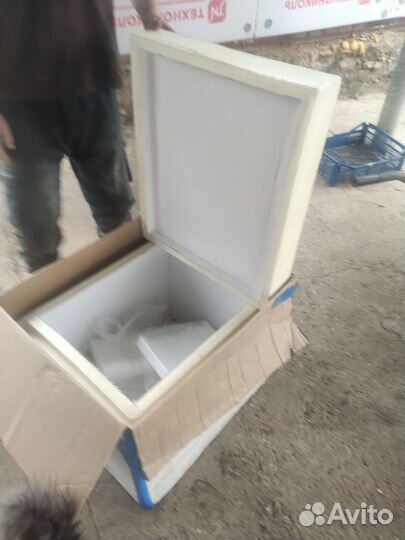 Термо контейнер