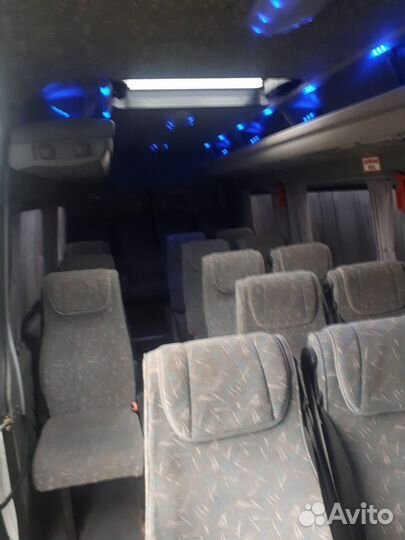 Пассажирские перевозки