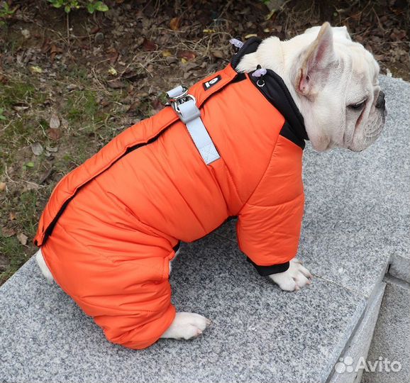Зимняя одежда для собак 40см