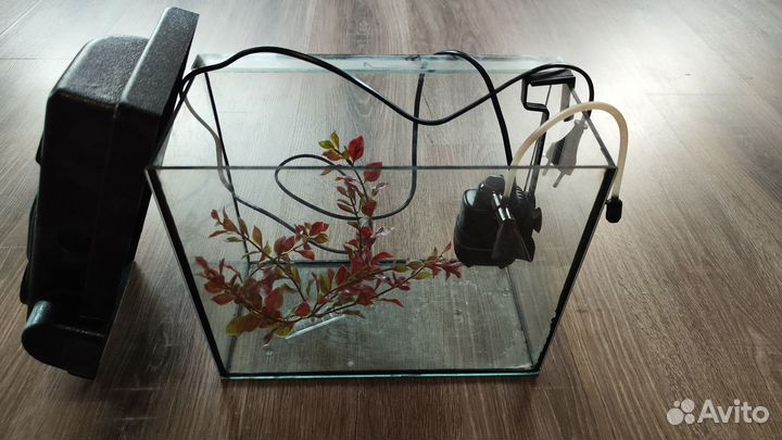Аквариум с крышкой 10 л с фильтром