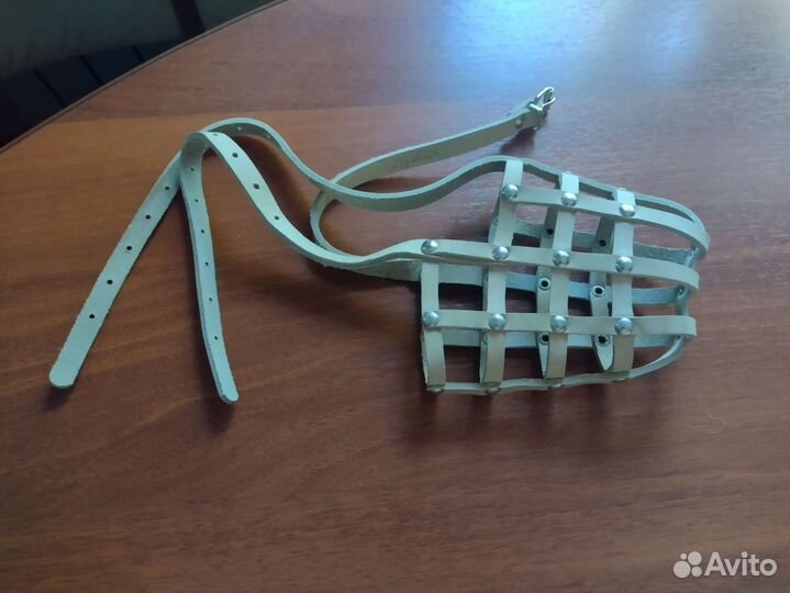 Амуниция для собак