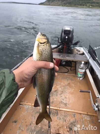 Прогулки на катере по р. Ангара