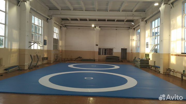 Борцовский ковер для школы