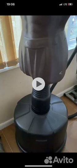 Груша герман