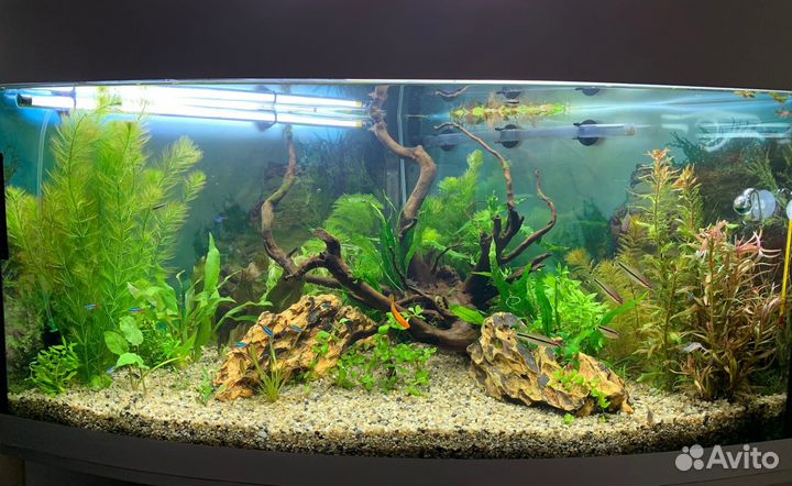 Аквариум со всем инвентарем