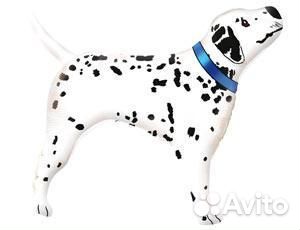 Воздушный шар на палочке Далматин