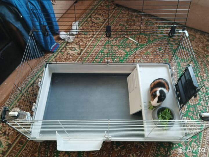 Клетка для кролика, морских свинок