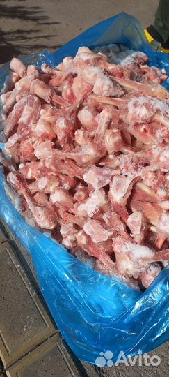 Корма для животных