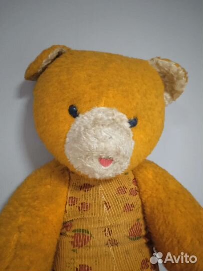Медведь рыжий. СССР