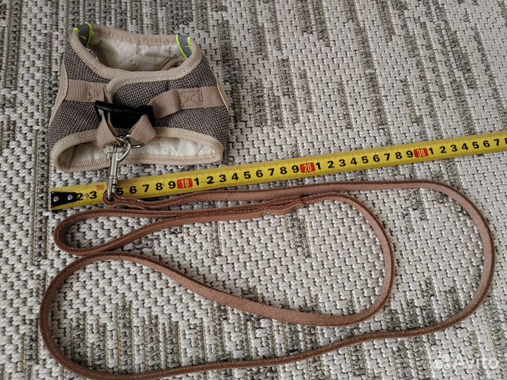 Шлейка с поводком для маленького питомца