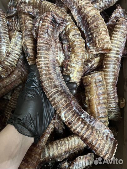 Сушеные лакомства для собак